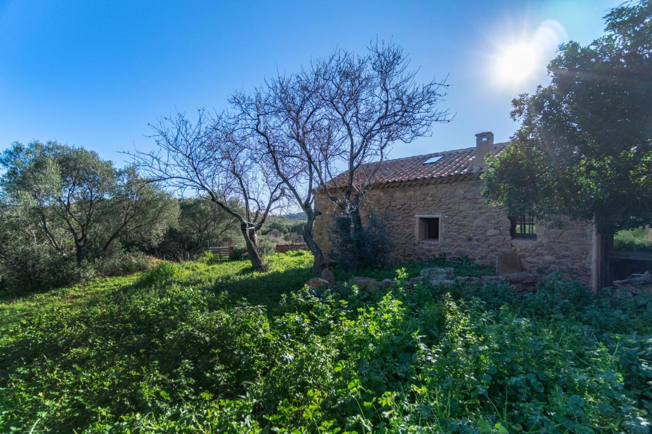 Le Case Di Mara - Appartamenti Tipici "Stazzo Giovannareddu" Porto San Paolo  Eksteriør bilde